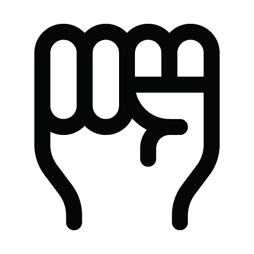 fist.webp